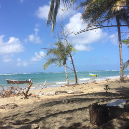 Cahuita National Park