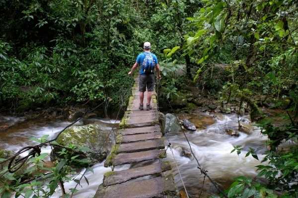 Cocora Valley Colombia bridges
