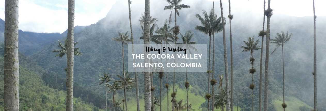 hiking the cocora valley salento