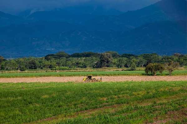 Valle de Cauca Colombia
