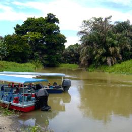 Tortuguero View