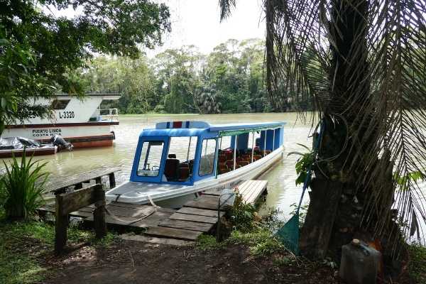 tortuguero national park tours boat