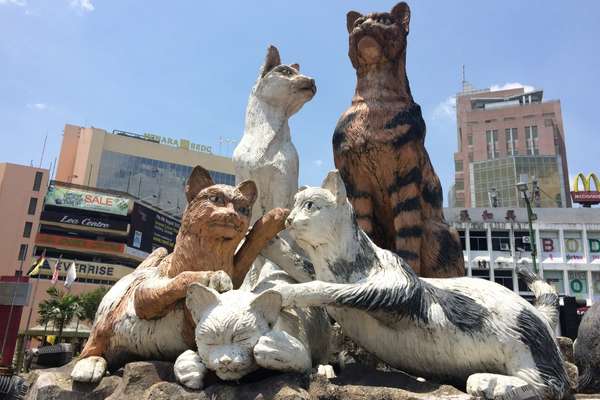 things to do in kuching see the cat statues