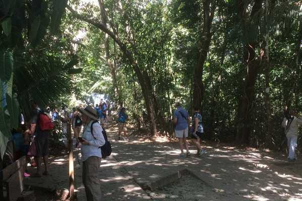 things to do in manuel antonio take a wildlife tour