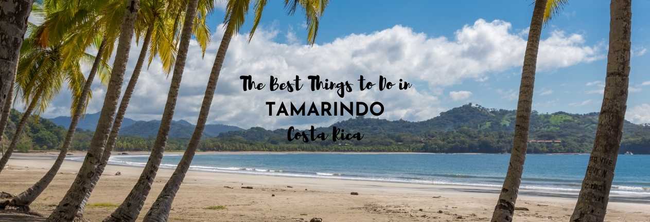 things to do in tamarindo costa rica