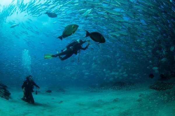 things to do in tamarindo do scuba diving