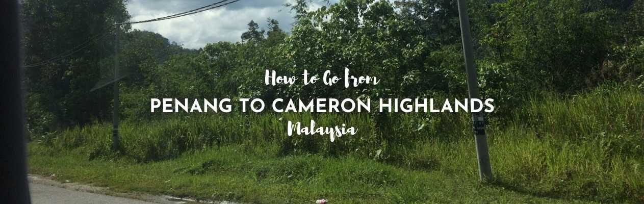 penang to cameron highlands