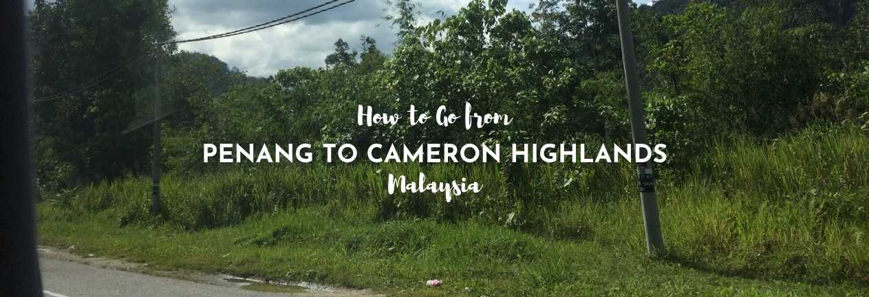 penang to cameron highlands