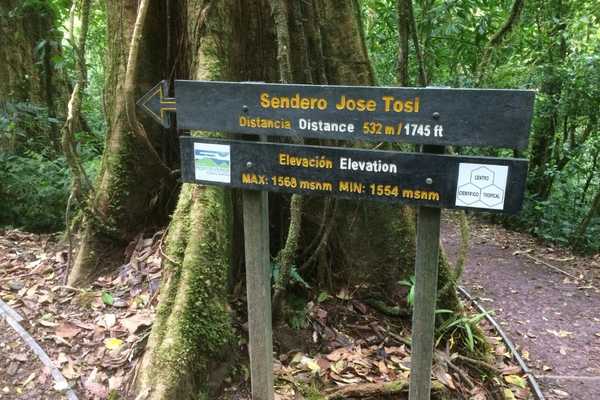 Trail markets monteverde cloud forest