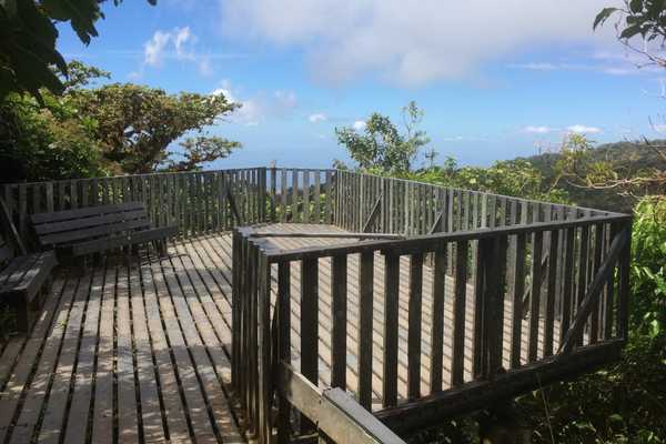 Viewpoint Monteverde