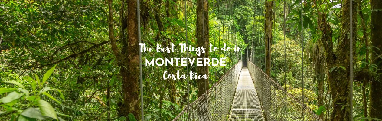best things to do in monteverde