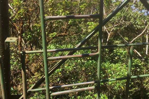 santa elena forest reserve look out tower ladder
