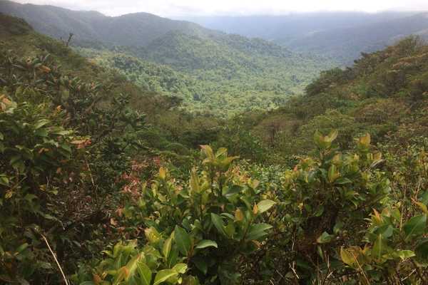 views Monteverde Cloud Forest