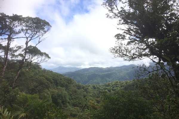 views santa elena forest reserve