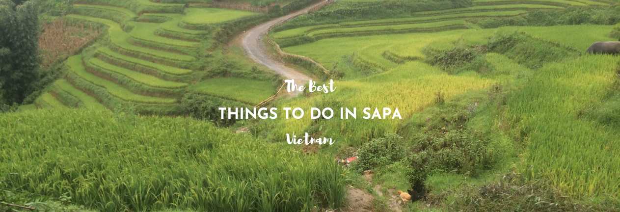 The best things to do in Sapa Rice Fields