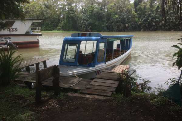 Tortuguero from Puerto VIejo along the canals