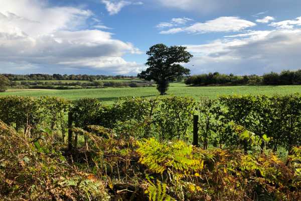 Views from Ripley Castle Walk