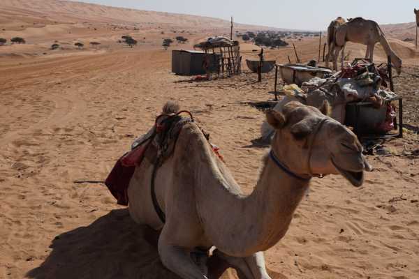 Oman's Wahiba Sands