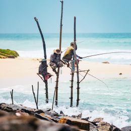 Stilt fisherman