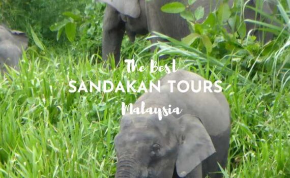 day trips from Sandakan