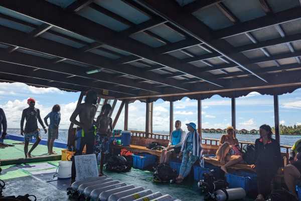 Diving from Fulidhoo Island
