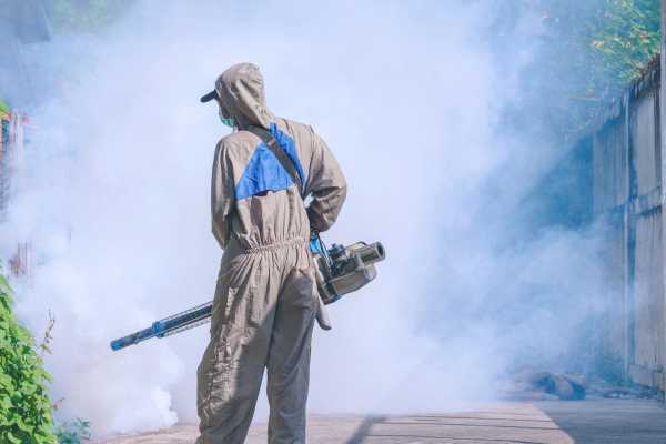 Fogging to Remove Mosquitoes