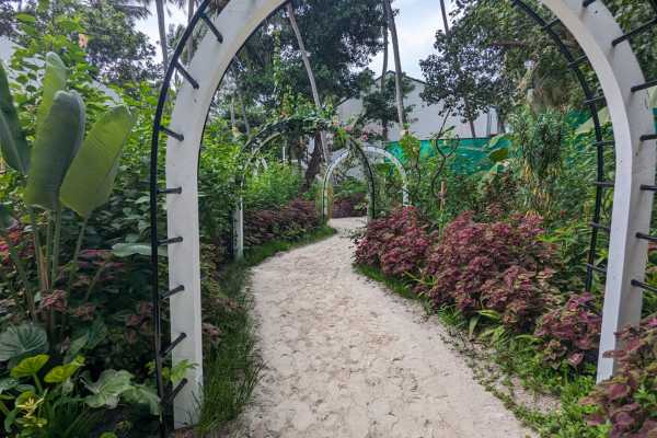 Pathways on the Resort