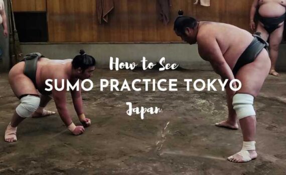 sumo practice tokyo