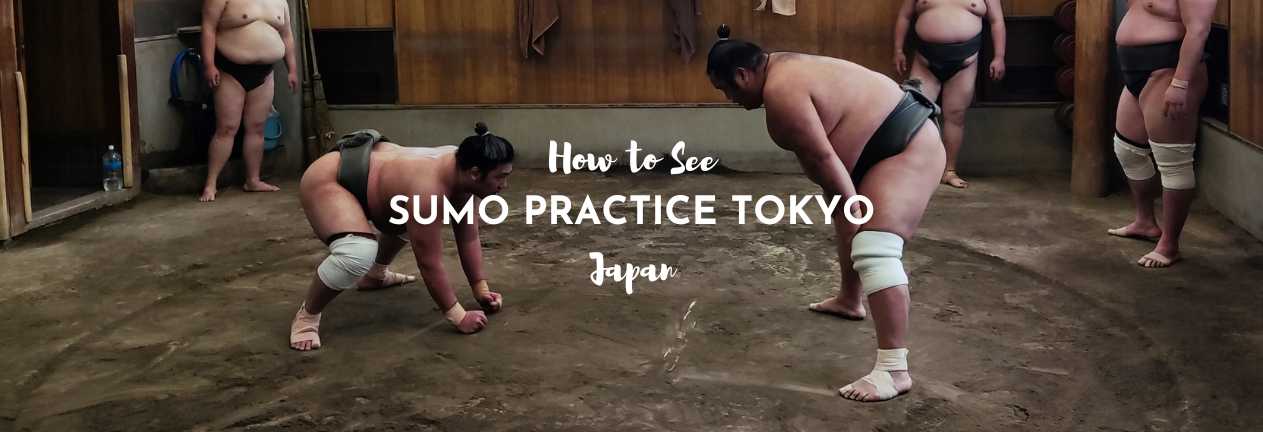 sumo practice tokyo