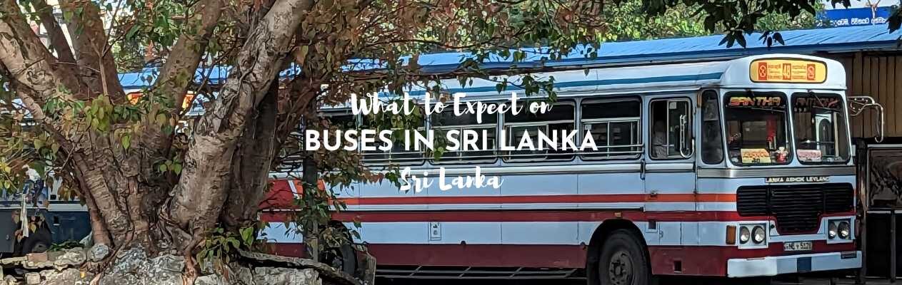 Buses in Sri Lanka