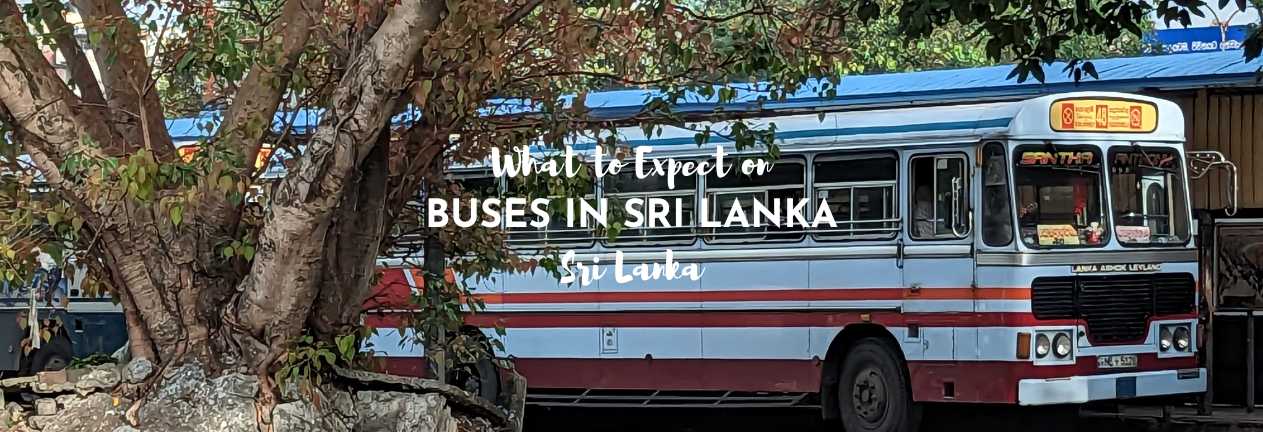 Buses in Sri Lanka