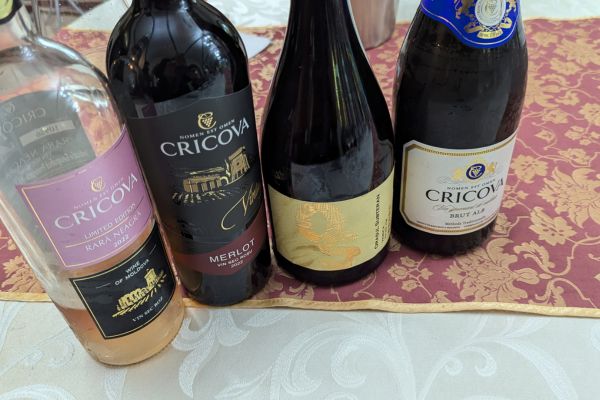 Selection of Cricova Wines at the winery
