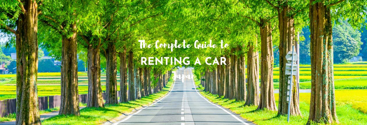 Metasequoia Road in Shiga Prefecture, Japan