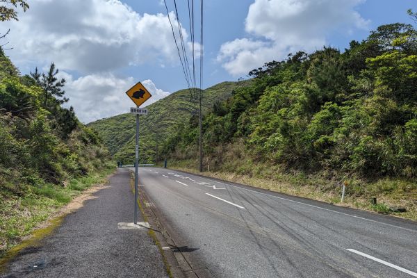 Warning Signs on Roads in Japan