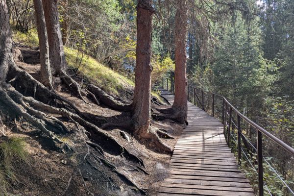 Boardwalk trail at Kolsai Lake