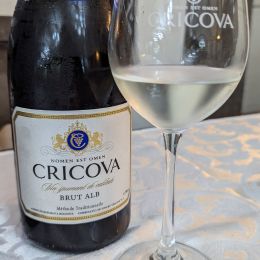 Cricova Wine Tasting