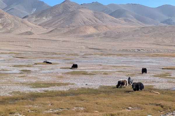 Driving from Murghab to Karakol Lake