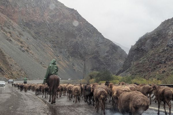 Moving down in altitude for the winter