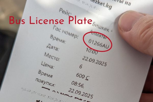 Ticket for Bishkek to Almaty Bus