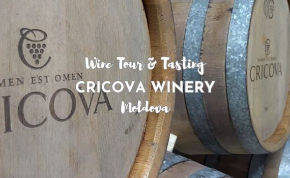 Wine Tasting Cricova
