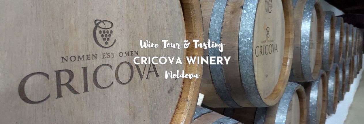 Why and How to visit Cricova Winery – Wine Tasting
