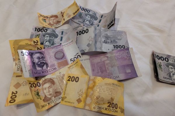 Kyrgyzstani Soms notes