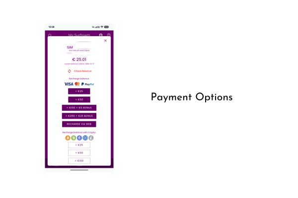 Surfroam Payment Options