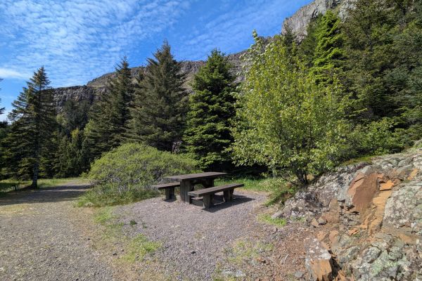 Hálsaskógur Picnic Forest table 