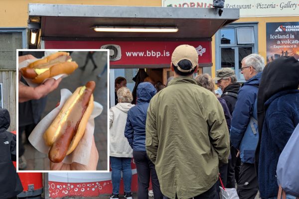 Bæjarins Beztu Pylsur and a hot dog with everything