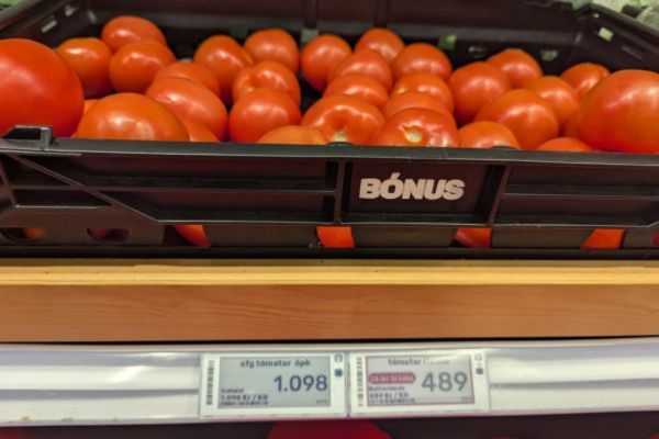 Cost of Tomatoes in Iceland