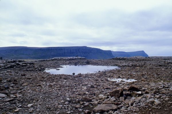 Hornstrandir Nature Reserve