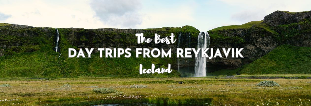 Seljalandfoss Waterfall