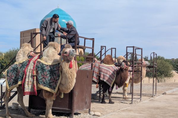 Camel Rides at the Mausoleum Complex