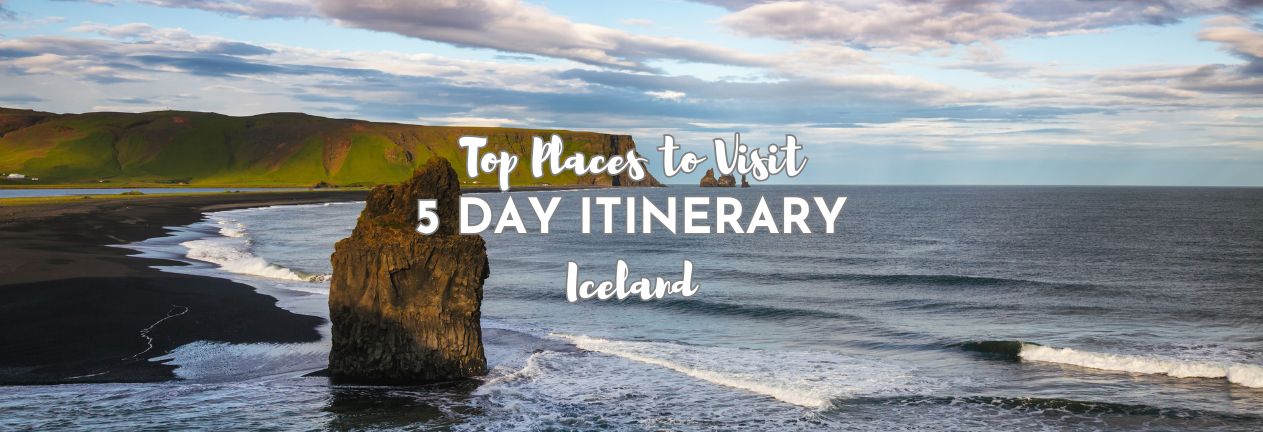 Iceland South Coast Black Sand Beach